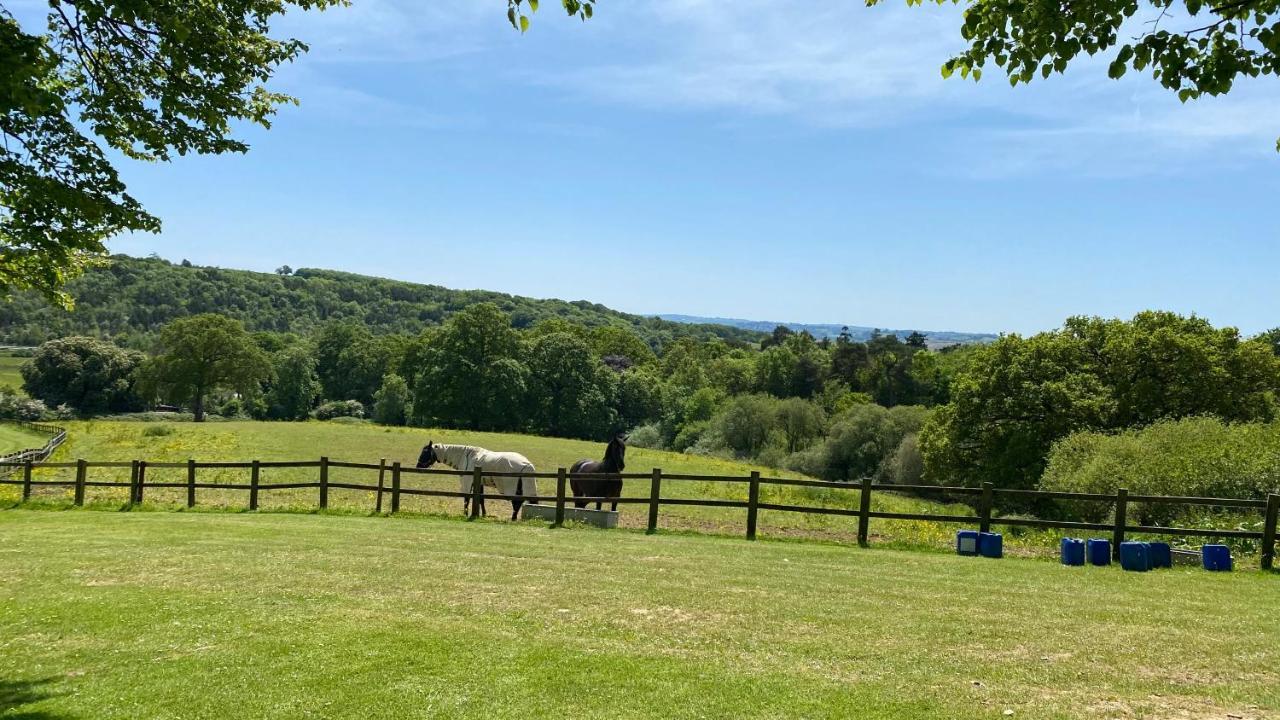Conkers Lodge For 6 With Hot Tub & Secluded Decking - Spa Resort In Devon Chudleigh ภายนอก รูปภาพ